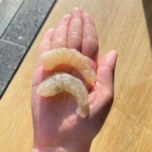 Filé de Camarão de 36g Eviscerado